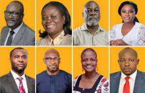 Constitutional Review or Political Whitewash?