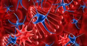 Cancer Doesn’t Wait: The Importance of Timely Screenings and Check-Ups