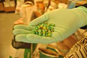 Farmers wooed to accept genetically modified seeds