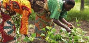 CARE International Interventions - the salvation for women farmers