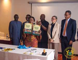 Ghana unveils 5-year plan to tackle heavy metals in food