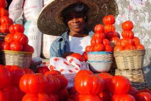 Agogo Is Rotting, Not From Lack Of Hard Work