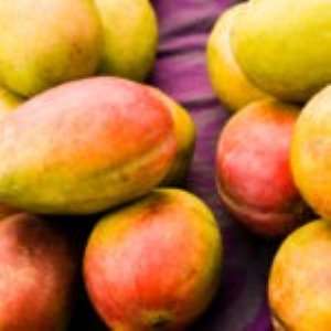 Check Out Some Health Benefits Of Mangos