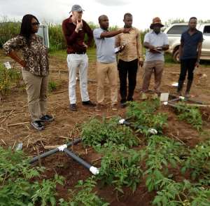 Lancaster University Partners CSIR On Sustainable Tomato Production Research
