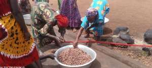 Shea processing: Lifeline of women in Sorugu under threat