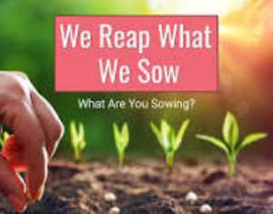 YOU ARE YOUR OWN MANYORO: What You Sow, You Reap