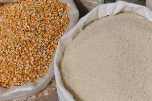 Govt introduces guaranteed farmgate prices for maize, rice and gari to protect farmers, stabilise food supply