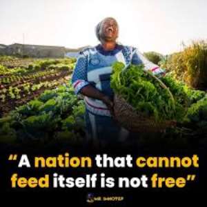 Ghana Must Be Ready And Willing To Feed Itself
