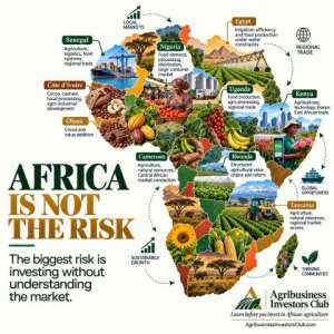 Before You Call Investing In Africa Risky, Understand The Market