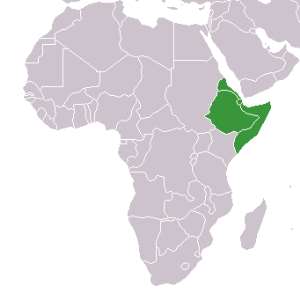 The security situation in the horn of africa