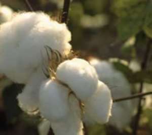 President assures cotton industry of governments support
