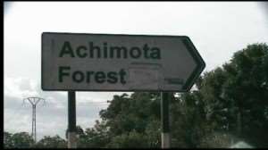 Mr. President, Stop The Destruction Of Achimota Forest!