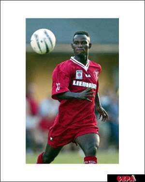 Adu Tutu Skelley