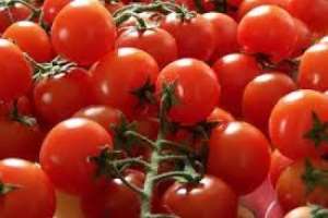 Pushing The Agenda Of Peoples' And Economic Integration Through Tomato Trade