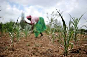 Financial and logistical constraints hindering Agric development in the North