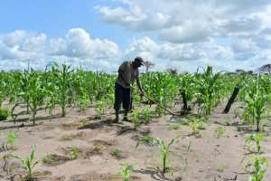 15 Lucrative Business Ideas To Explore In The Agri Sector – Part 1