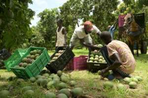 Investing In Agriculture: A Key To Unlocking Economic Growth And Food Security