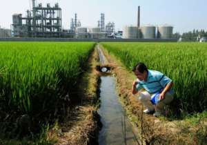 A Chinese environmental activist checks the water quality in an irrigation channel outside a chemical factory.  By Mark Ralston (AFP/File)