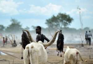 A herdsman from the Nuer tribe stands with his cattle at a camp near Nyal, South Sudan on November 11, 2011.  By Tony Karumba AFPFile