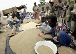 In an attempt to reduce the cereal deficit in Niger, the government has launched a programme to irrigate 130,000 hectares of land to produce 500,000 tonnes of food.  By Issouf Sanogo AFPFile