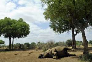 King Juan Carlos is president of the Spanish branch of conservation group WWF.  By Tony Karumba (AFP/File)
