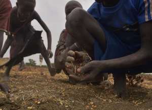 Children gather grain spilled from bags busted open following a food-drop on February 24, 2015 at a village in Nyal, Panyijar county, near the northern border with Sudan.  By Tony Karumba AFPFile