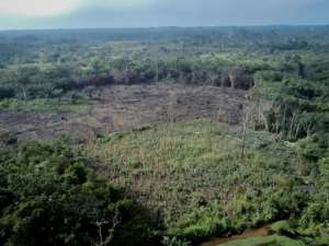 Rising deforestation and poverty in Ghana?