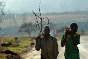 South African mine workers walk home with fire wood in Carletonville on September 3, 2013.  By Alexander Joe AFP