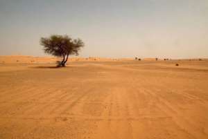 At least 43 of arable land in Africa is threatened by desertification, according to the United Nations.  By Hocine Zaourar AFP