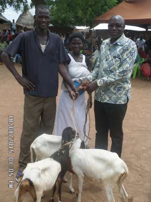 USAID RING Presents Nine Hundred And Twenty Small Ruminants To Vulnerable Households