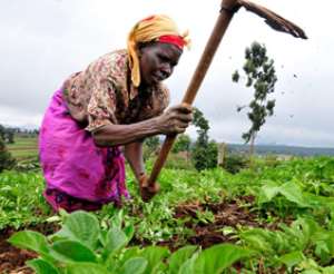 USAID To Scale Up Agric Investments