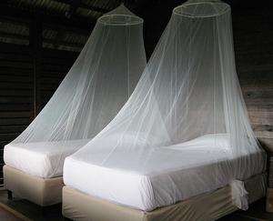 Unbelievable! Bed Nets As Fishing Nets?