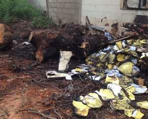 Partially burnt medical records of patients scattered on the scene after the fire which burnt the Diabetic Centre at the Korle Bu Teaching Hospital yesterday