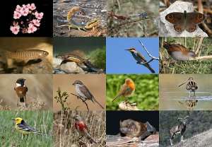 Biodiversity And Our Society