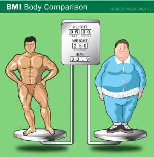 BODY MASS INDEX-BMI