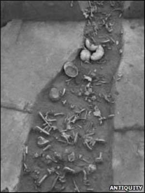 The site contains remains of 500