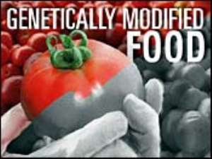 GM Foods threaten food security and sovereignty - Action Aid