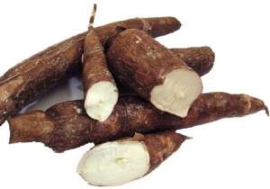 Cassava Brown Streak Disease: Identification A Problem Among African Farmers