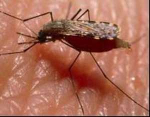 Gates says malaria vaccine may be ready in three years
