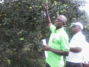 Stakeholders recommend solution to challenges in Ghanas citrus industry