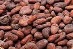 2009 Cocoa Production: 1m Tonnes Targeted