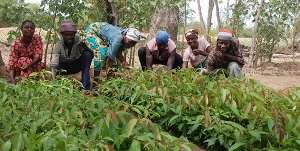 A seven-day agro-ecology workshop ends in Techiman