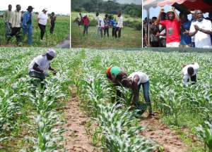 Ministers challenge youth to take up agriculture