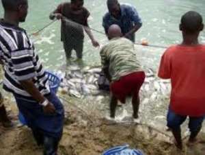 UE Communities boost fish farming