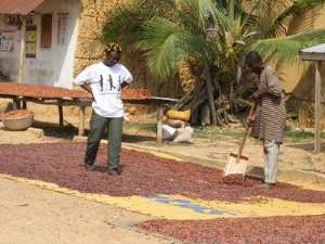 Ouattara ban on Cocoa exports may increase smuggling to Ghana