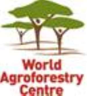 Agroforestry Can Be A Long-Term Solution To Food Shortage In Africa