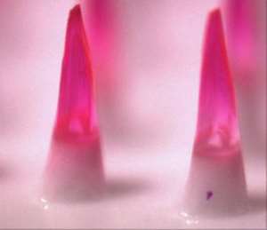 Vaccine patch may replace needles