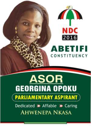 NDC parliamentary aspirant advocates more women as candidates