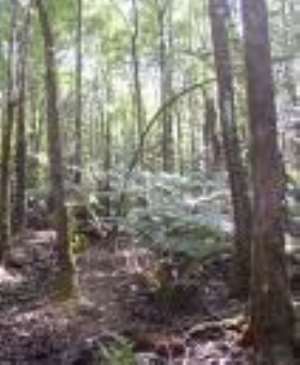 Funds allocated for timber conservation