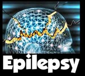 Understanding Developmental Abnormalities and Epilepsy